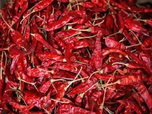 DRY CHILLY (SUKHA KHURSANI )