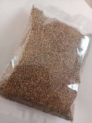 JWANO (CAROM SEED)100 GM