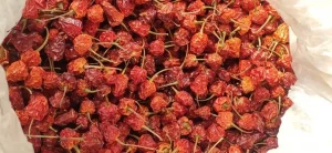 Dalle Dry Chilly 25 gm