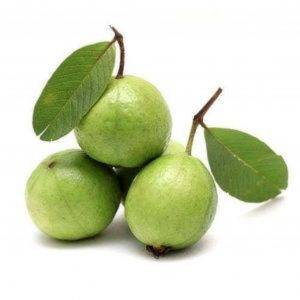 Guava
