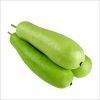 BOTTLE GOURD ( LAUKI )  PER PC