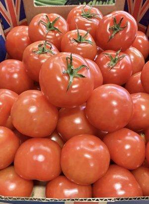 TOMATO