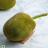 RAW JACKFRUIT ( 1 KG)