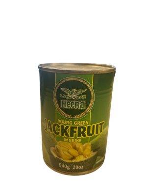 RAW JACKFRUIT IN BRINE (540 GM )