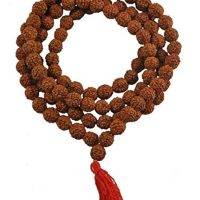 RUDRAKSHA MALLA