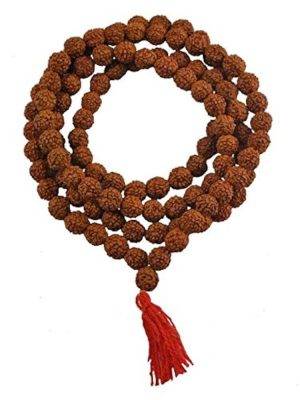 RUDRAKSHA MALLA