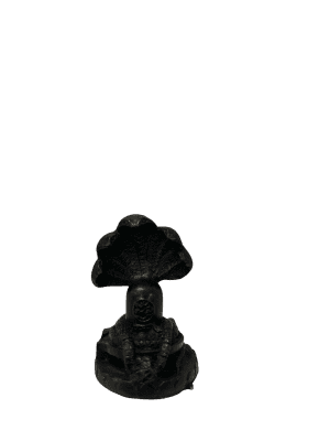 NAAG SHIVA LINGA