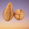 Nepali jatta coconut for puja (1 piece )