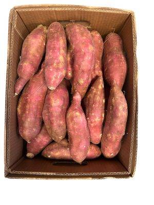 SWEET POTATO (Sakharkhanda or Shakarkand)
