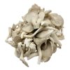 OYSTER MUSHROOM (PATEY CHYAU)