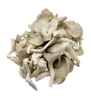 OYSTER MUSHROOM (PATEY CHYAU)